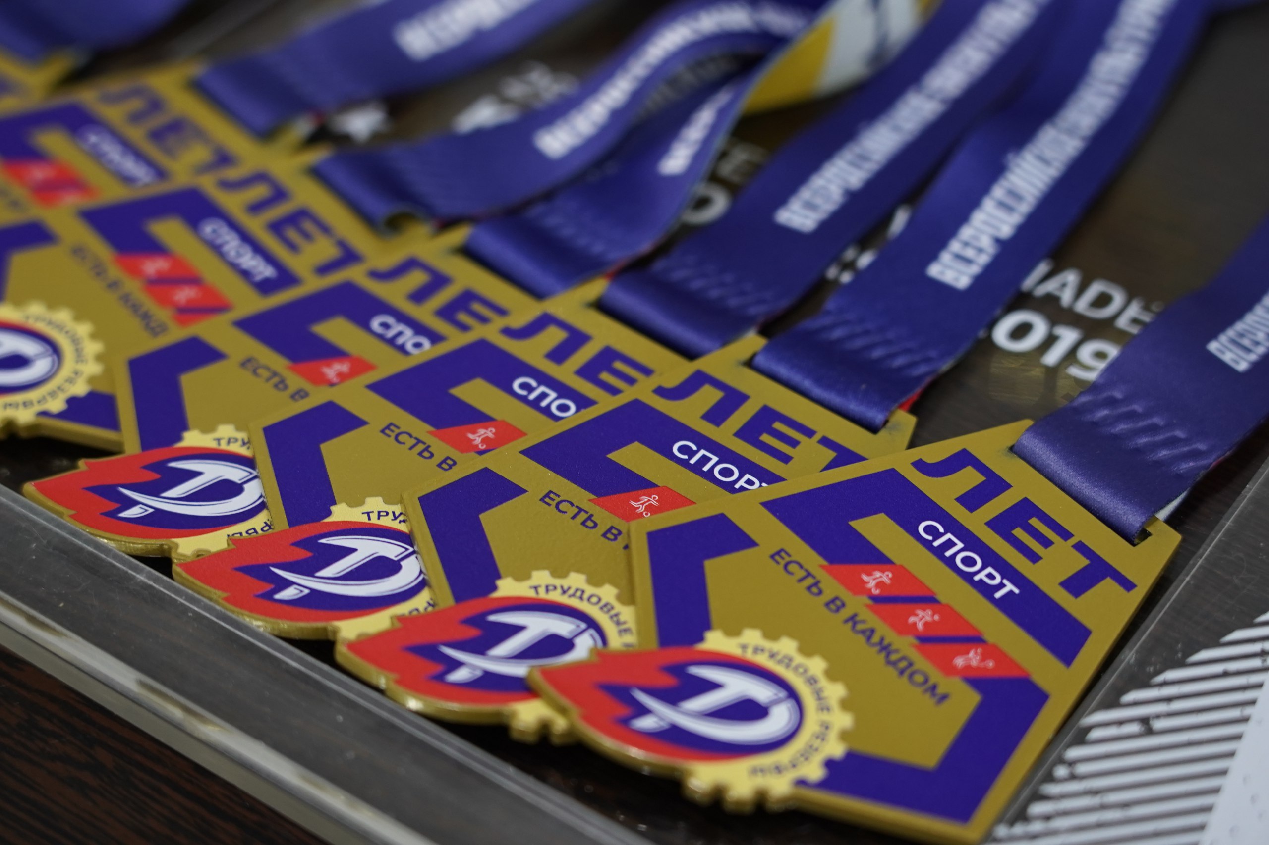 17 декабря состоялось торжественное совещание, посвященное подведению итогов деятельности ВФСО «Трудовые резервы» за 2024 год.